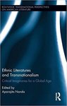 Ethnic Literatures and Transnationalism: Critical Imaginaries for a Global Age by Aparajita Nanda