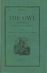 The Owl, vol. 5, no. 4