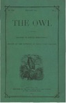 The Owl, vol. 8, no. 5